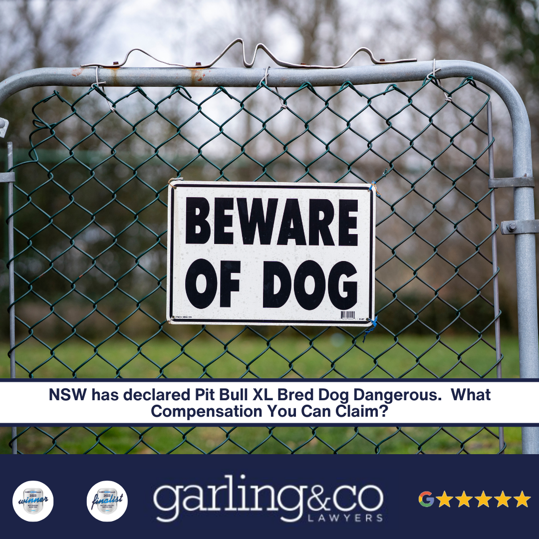 Fence with a 'beware of dog' sign and a caption "NSW has declared Pit Bull XL Bred Dog Dangerous. What Compensation You Can Claim?"