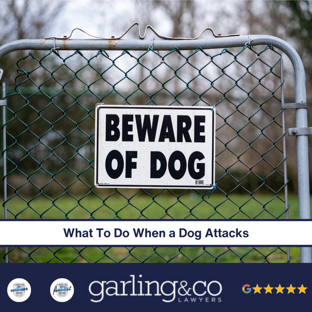 Dog Bite Injury Claim Guide What To Do When A Dog Attacks You